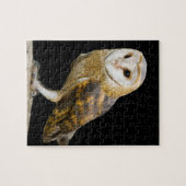 Stallhuhn Puzzle (Horizontal)