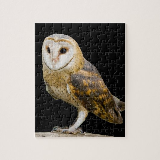 Stallhuhn Puzzle (Vertikal)
