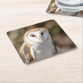 Stallhuhn Rechteckiger Pappuntersetzer (angewinkelt)