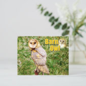 Stallhuhn (Tyto alba) Postkarte (Stehend Vorderseite)