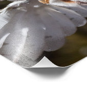 Stallhuhn und Flügel Fotodruck (Ecke)