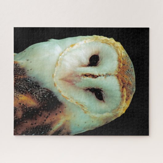 Stallhühner - Raubvögel. Puzzle (Horizontal)