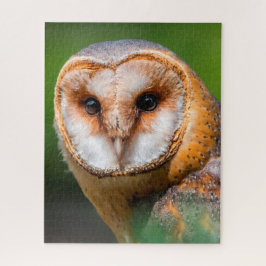 Stallhühner - Raubvögel. Puzzle