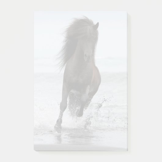 Stallion am Strand| Nordatlantik Post-it Klebezettel (Vorderseite)