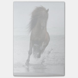 Stallion am Strand Nordatlantik Post-it Klebezettel
