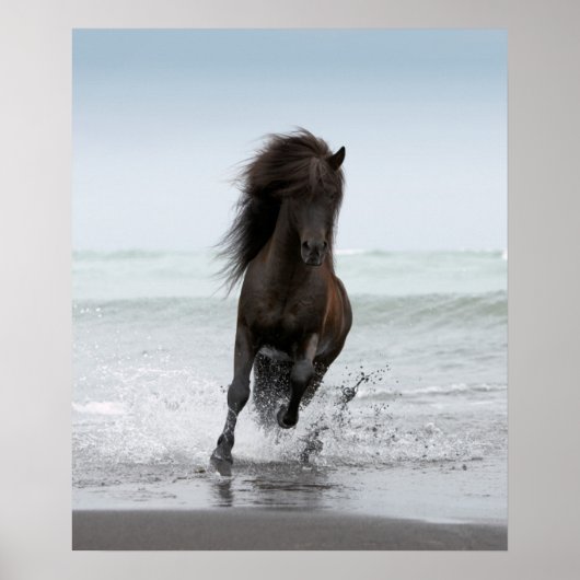Stallion am Strand | Nordatlantik Poster (Vorne)