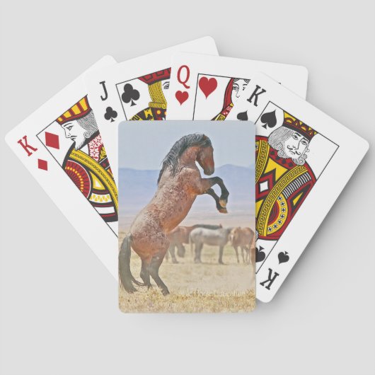 Stallion aufziehen, Spielbereit, Set auf Karte Spielkarten (Rückseite)