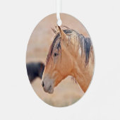 Stallion beobachtet Ornament (Vorderseite links)