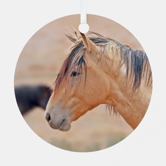 Stallion beobachtet Ornament Aus Metall (Rückseite)