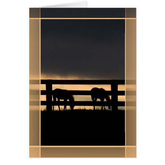 Stallion Farm Incoming Storch (Vorne)