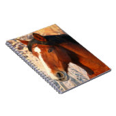 Stallion Horse Notizblock (Rechte Seite)