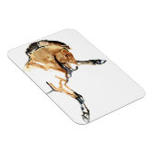 Stallion Magnet (Rechte Seite)