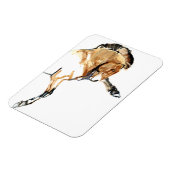 Stallion Magnet (Linke Seite)
