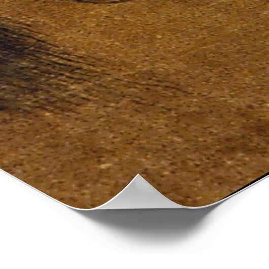 Stallion mit Erdung Poster (Ecke)