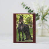 Stallion Painting Postkarten (Stehend Vorderseite)