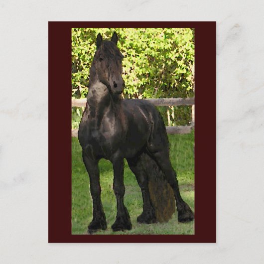 Stallion Painting Postkarten (Vorderseite)