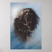 Stallion Portrait - Poster (Vorne)