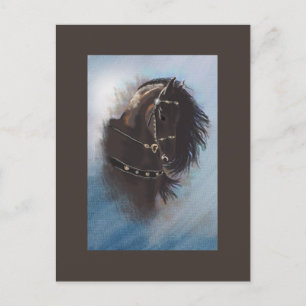 Stallion Portrait - Postkarte