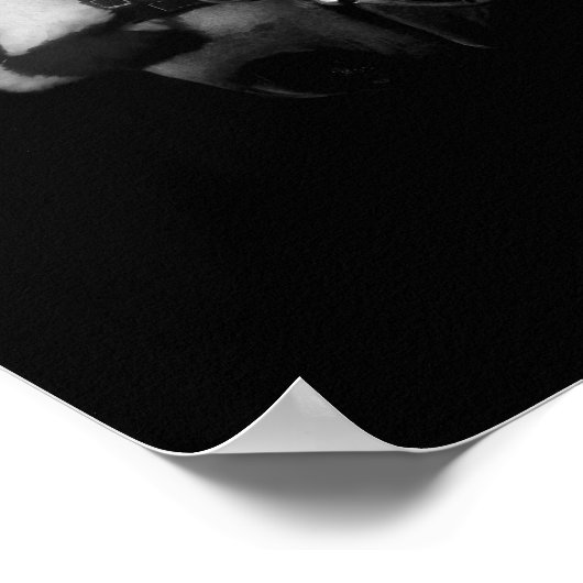 Stallion Poster (Ecke)