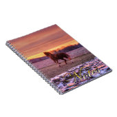 Stallion Running Zuhause bei Sunset auf Ranch Notizblock (Rechte Seite)
