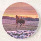 Stallion Running Zuhause bei Sunset auf Ranch Sandstein Untersetzer (Vorne)