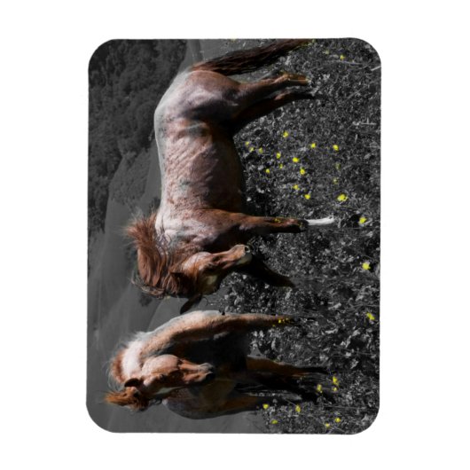 Stallion Spar Magnet (Vertikal)