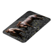 Stallion Spar Magnet (Linke Seite)