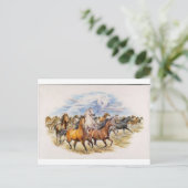 Stallion Stampede Postkarte (Stehend Vorderseite)