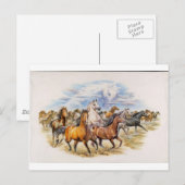 Stallion Stampede Postkarte (Vorne/Hinten)