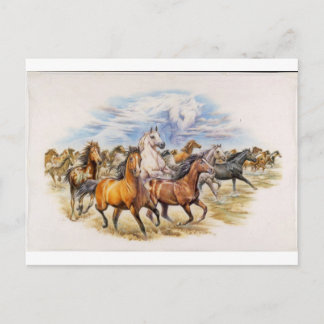 Stallion Stampede Postkarte