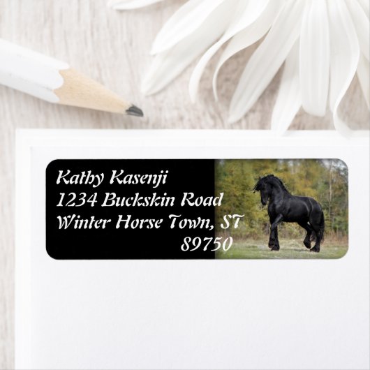 Stallion Strut (Insitu)