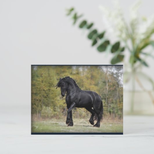 Stallion Strut Postkarte (Stehend Vorderseite)