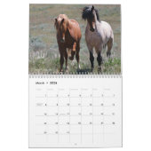 "Stallions" MustangWild 2026 Calendar Kalender (Mär 2026)