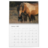 "Stallions" MustangWild 2026 Calendar Kalender (Jan 2027)