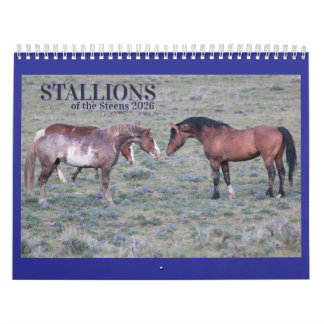 "Stallions" MustangWild 2026 Kalender