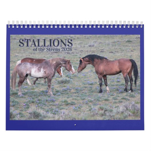 "Stallions" MustangWild 2026 Kalender (Titelbild)