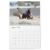 "Stallions" MustangWild 2026 Kalender (Feb 2027)
