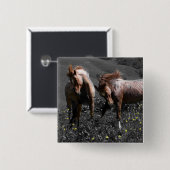 Stallions-Spar Button (Vorne & Hinten)