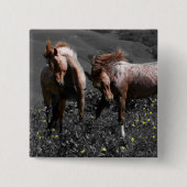 Stallions-Spar Button (Vorderseite)