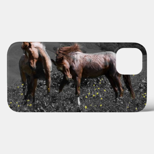 Stallions-Spar Case-Mate iPhone Hülle (Rückseite (Horizontal))