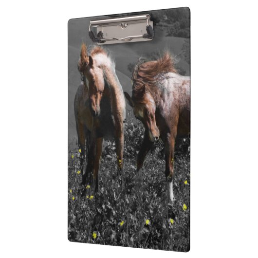 Stallions-Spar Klemmbrett (Links)