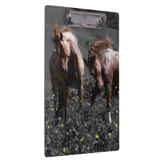 Stallions-Spar Klemmbrett (Rechts)