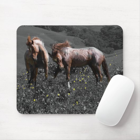 Stallions-Spar Mousepad (Mit Mouse)