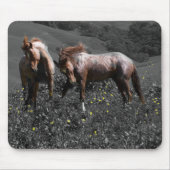 Stallions-Spar Mousepad (Vorne)
