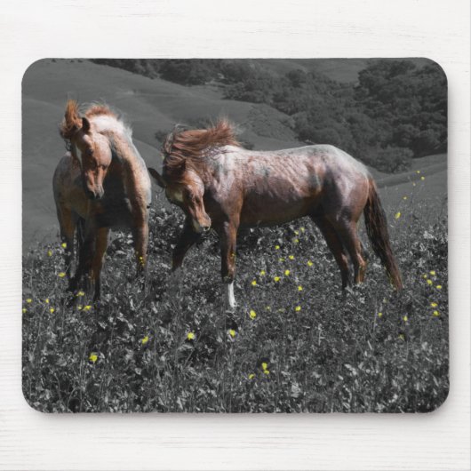 Stallions-Spar Mousepad (Vorne)