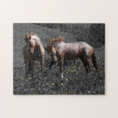 Stallions-Spar Puzzle (Horizontal)