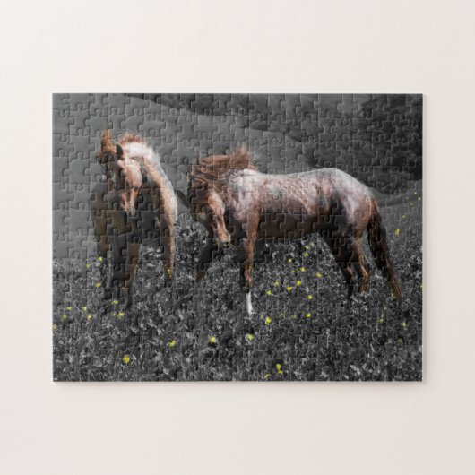 Stallions-Spar Puzzle (Horizontal)