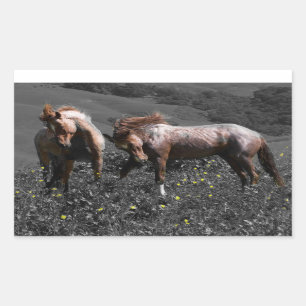 Stallions-Spar Rechteckiger Aufkleber