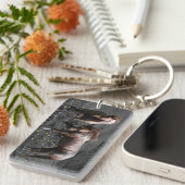 Stallions-Spar Schlüsselanhänger (Vorderseite rechts)