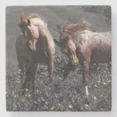 Stallions-Spar Steinuntersetzer (Vorderseite)